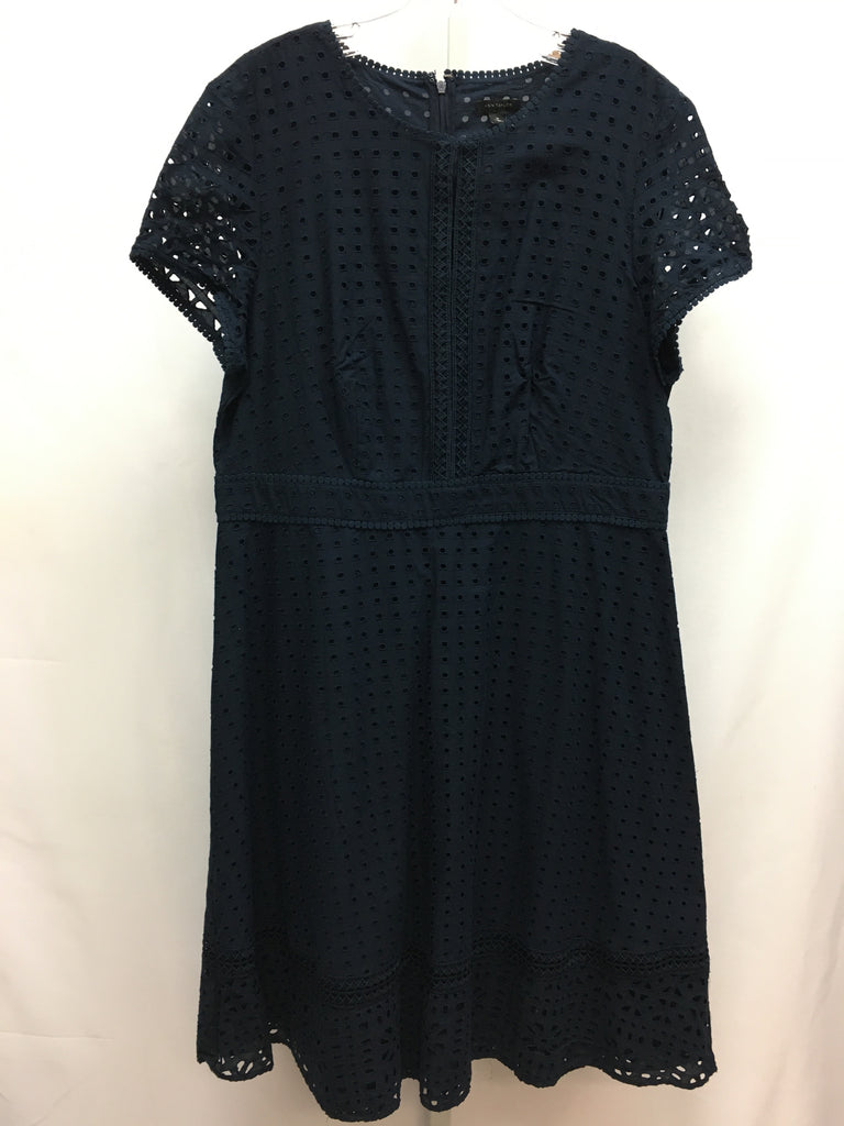 Size 14 Ann Taylor Navy Short Sleeve Dress