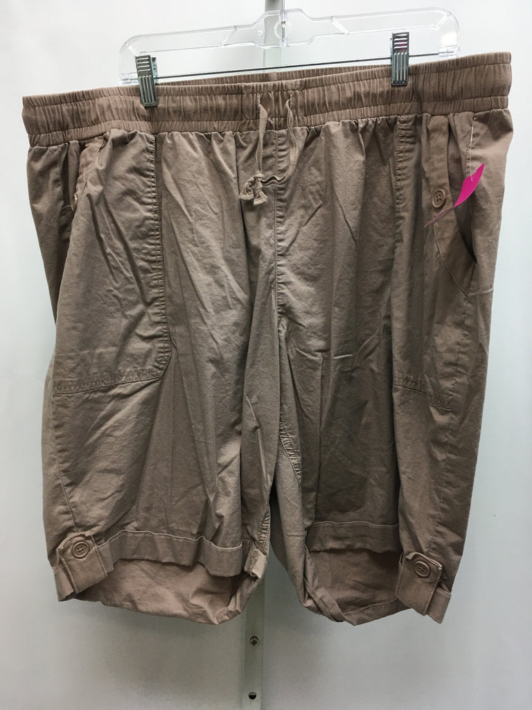 Lane Bryant Size 22/24 Gray Shorts