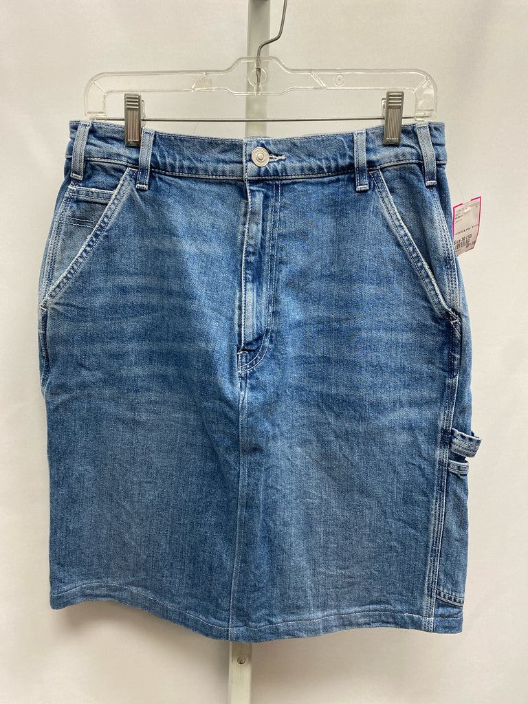 Hudson Size 30 (10) Denim Skirt
