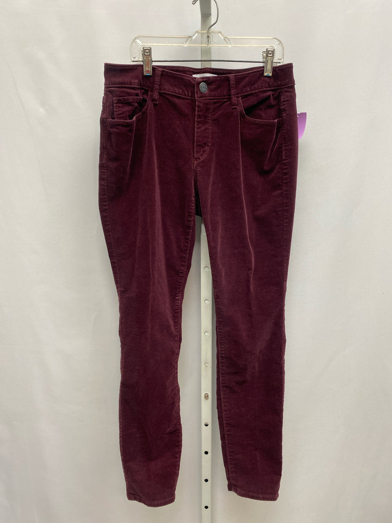 LOFT Size 6 Burgundy Pants