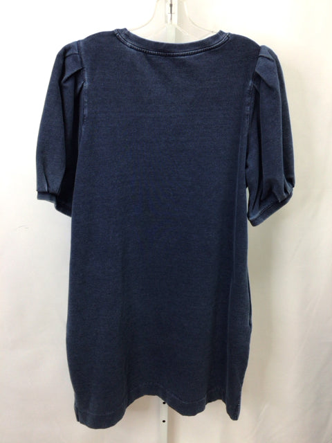 Size Chico's 2 (Large) Chico's Blue 3/4 Sleeve Dress