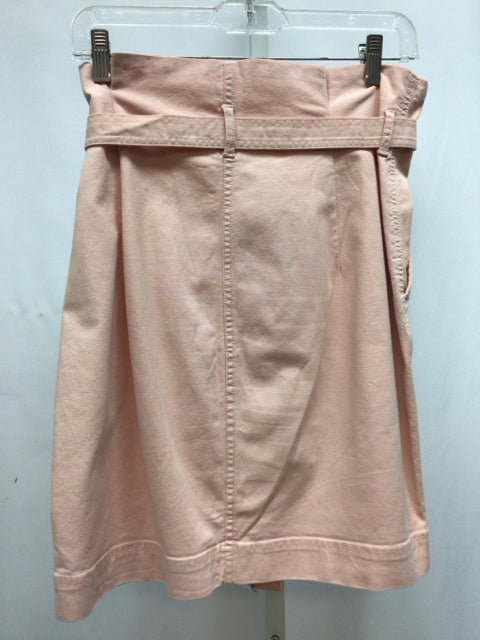 Size 8 Gap Pink Skirt