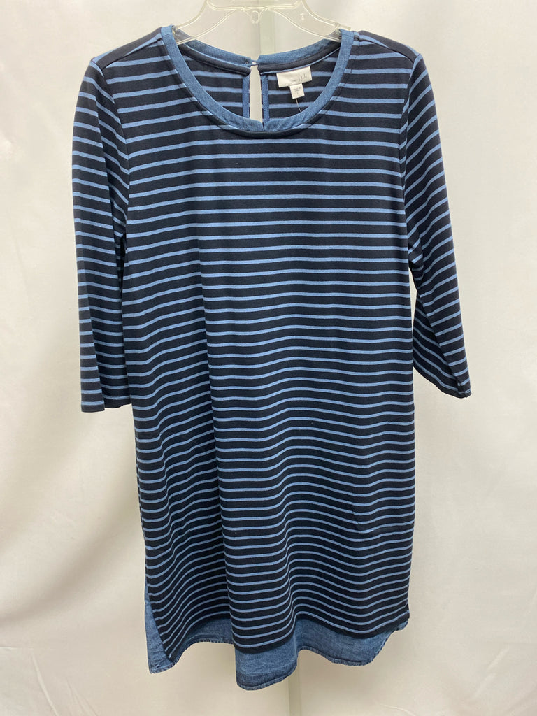 Size Large J.Jill Blue Stripe 3/4 Sleeve Dress