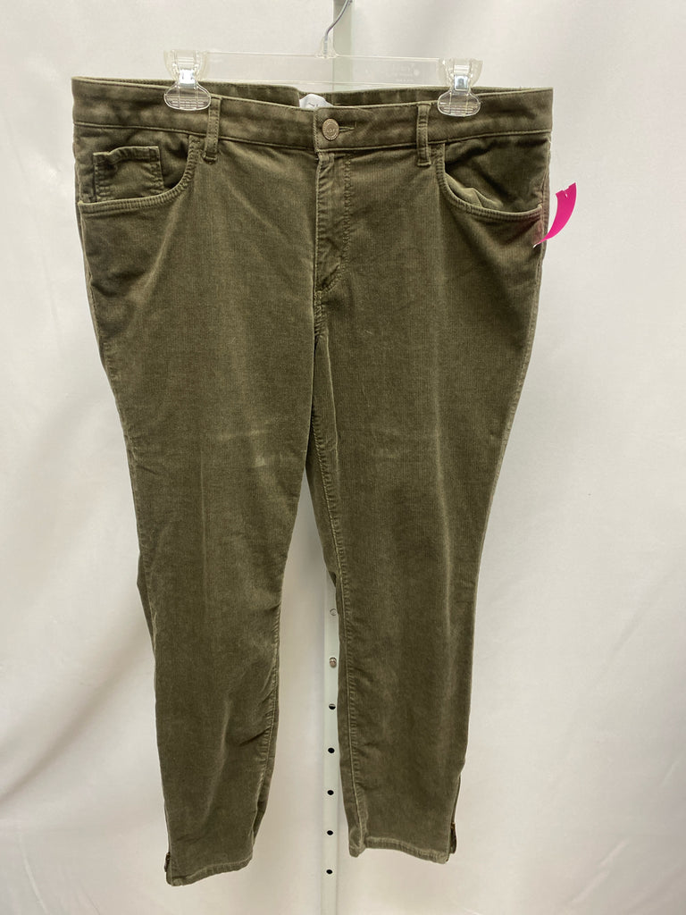 LOFT Size 14 Olive Pants