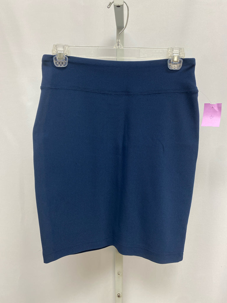 Boston Proper Size XXS Blue Skirt