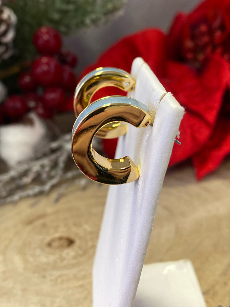 Talbots Blue/gold Earrings