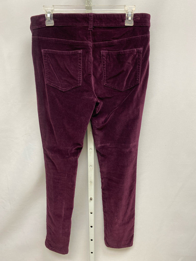 Pilcro Size 28 (6) Purple Pants