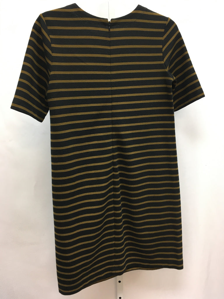 Size XS LOFT Black stripe Short Sleeve Dress