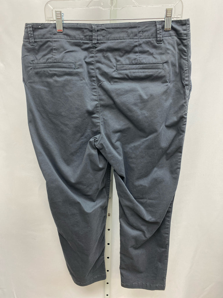 LOFT Size 10 Charcoal Pants