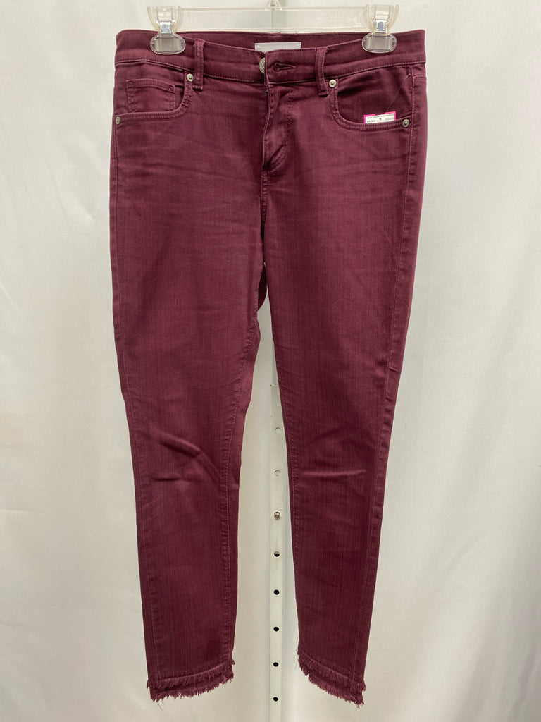 LOFT Size 2 Burgandy Jeans