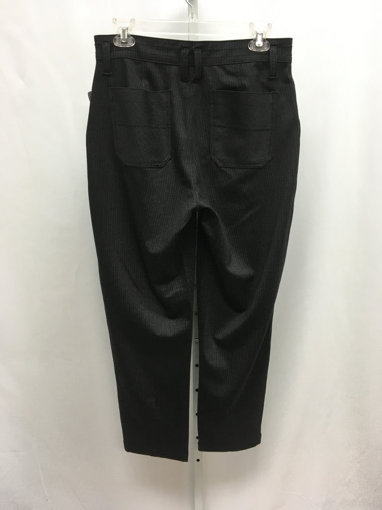 Size 6 Democracy Black stripe Pants