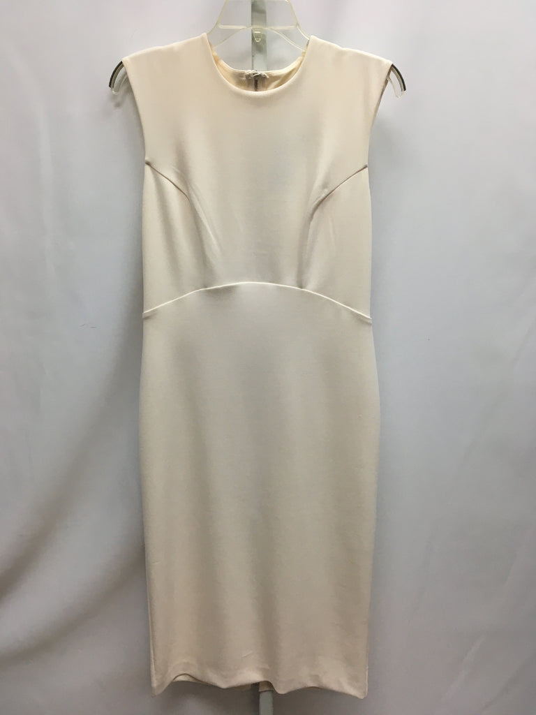 Express Size S Ivory Dress