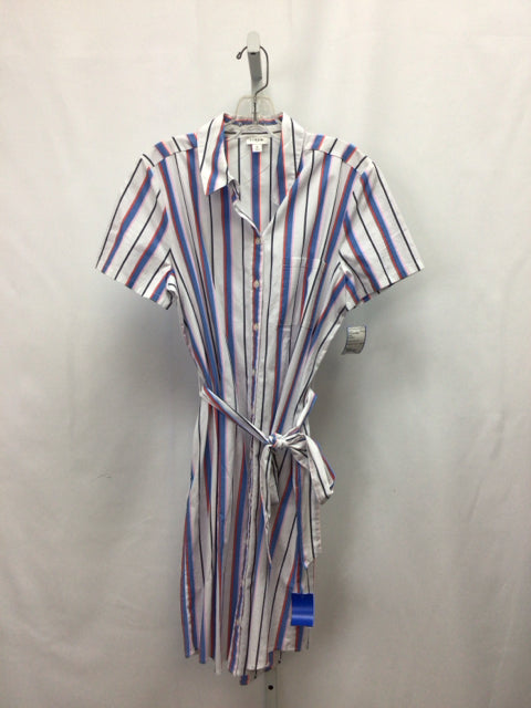Size 8 JCrew White/blue Short Sleeve Dress