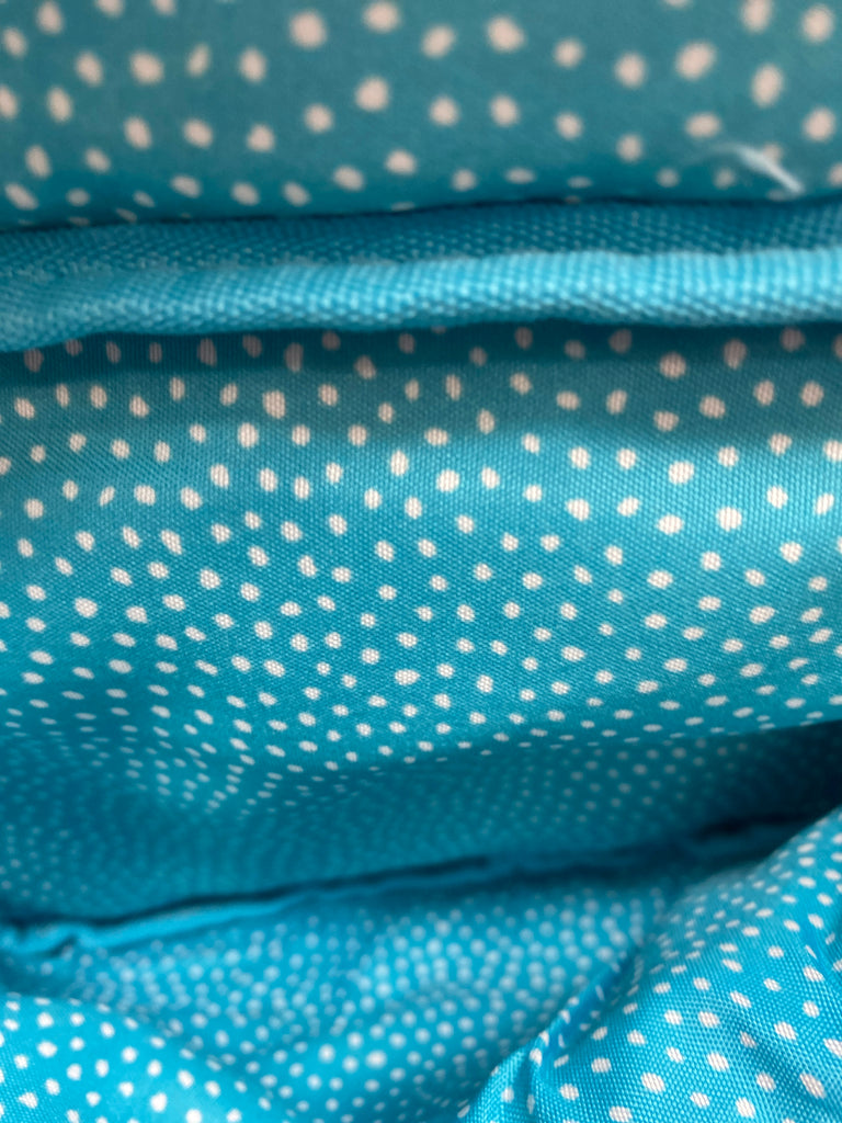 Brighton Multi-Color Belt Bag