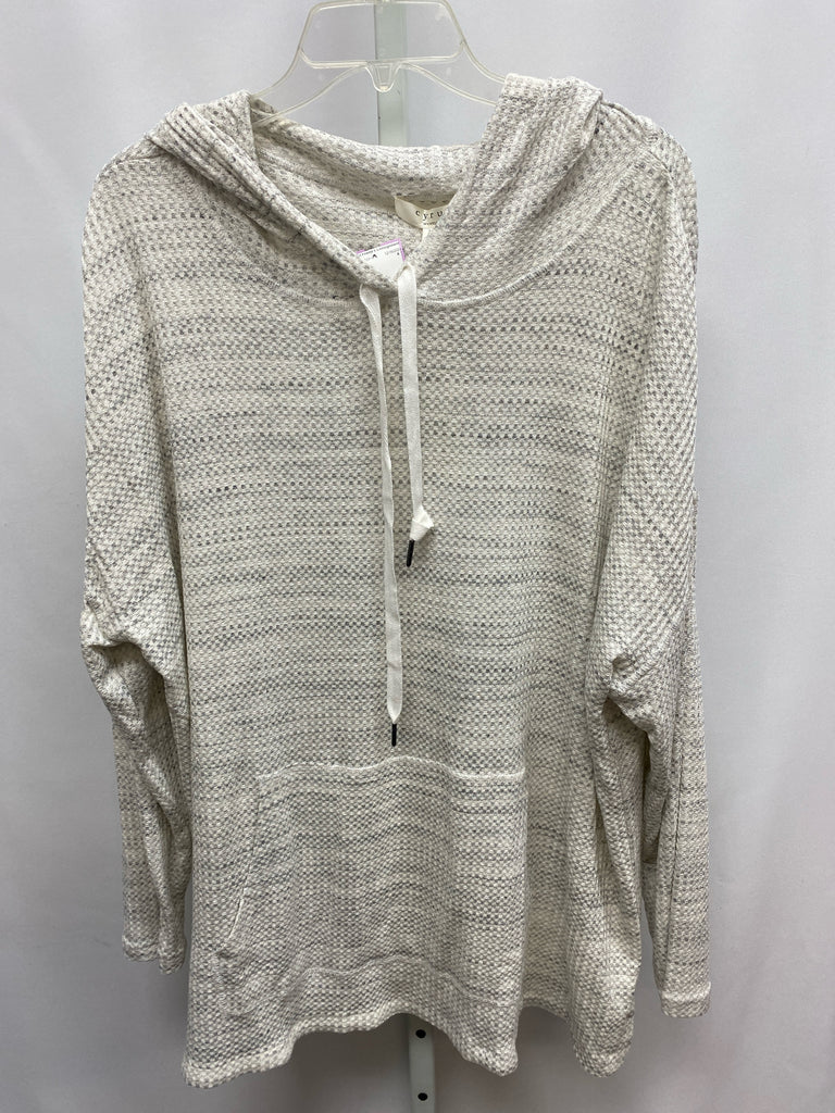 Cyrus Size 2X Gray Heather Hoodie