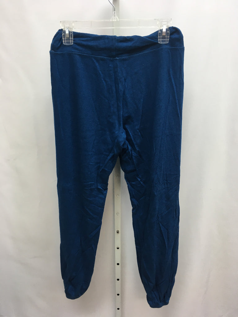 Sundry Size Small Blue Pants