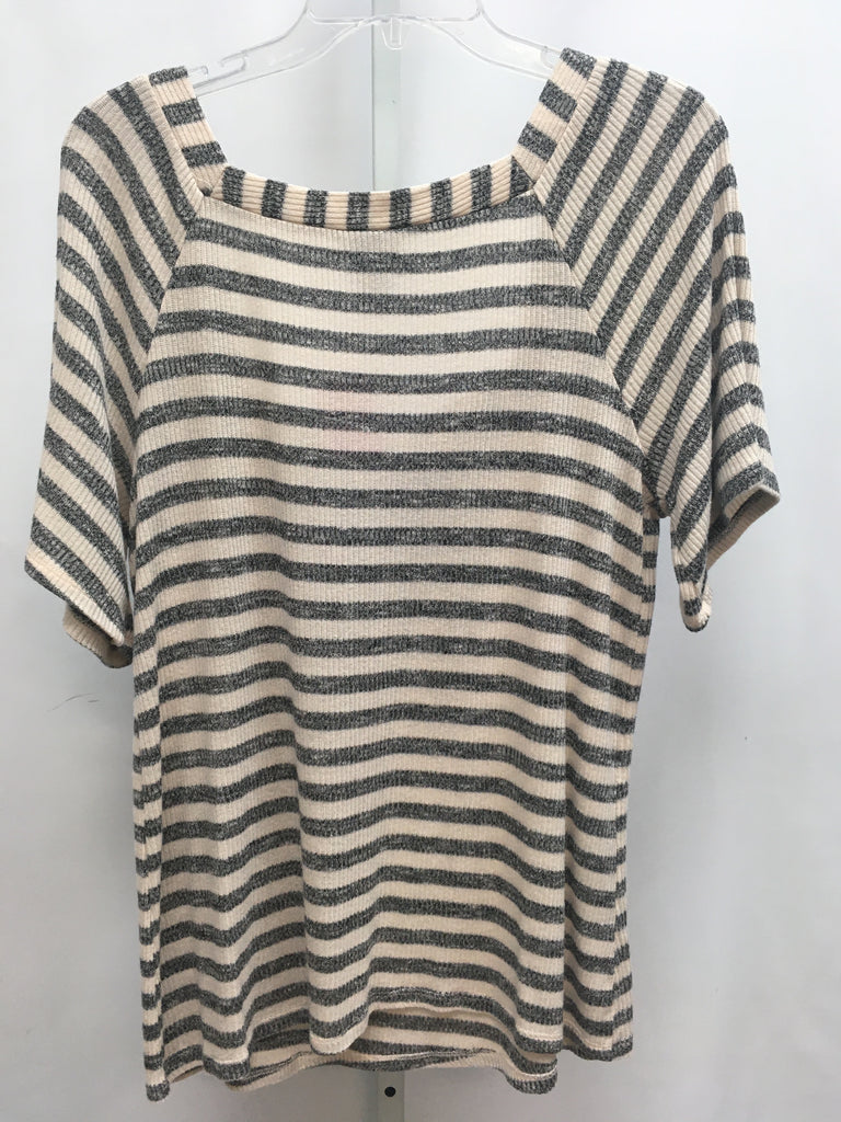 Daytrip Size Large Cream/Gray Short Sleeve Top