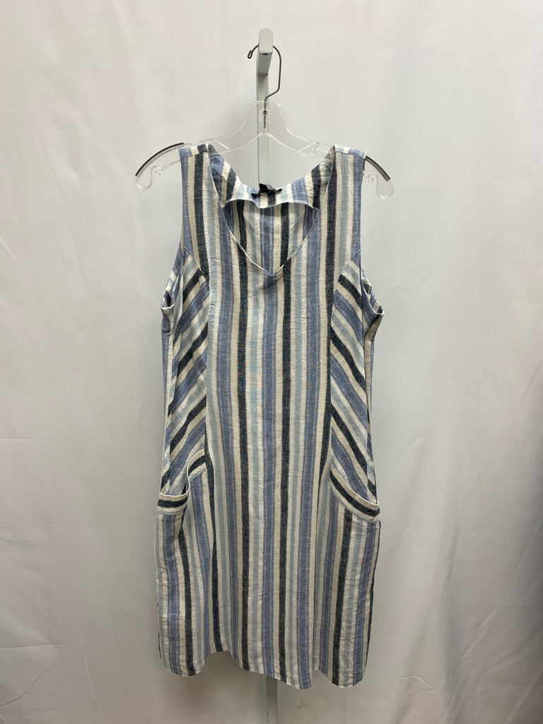 Size Medium Blue Stripe Sleeveless Dress