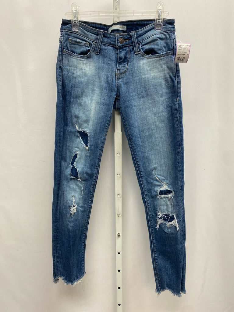 Daytrip Size 24 (0) Denim Jeans