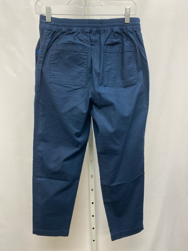 LOFT Size 2 Navy Pants