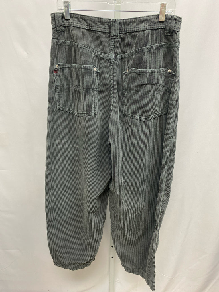 BDG Size 8 Gray Pants