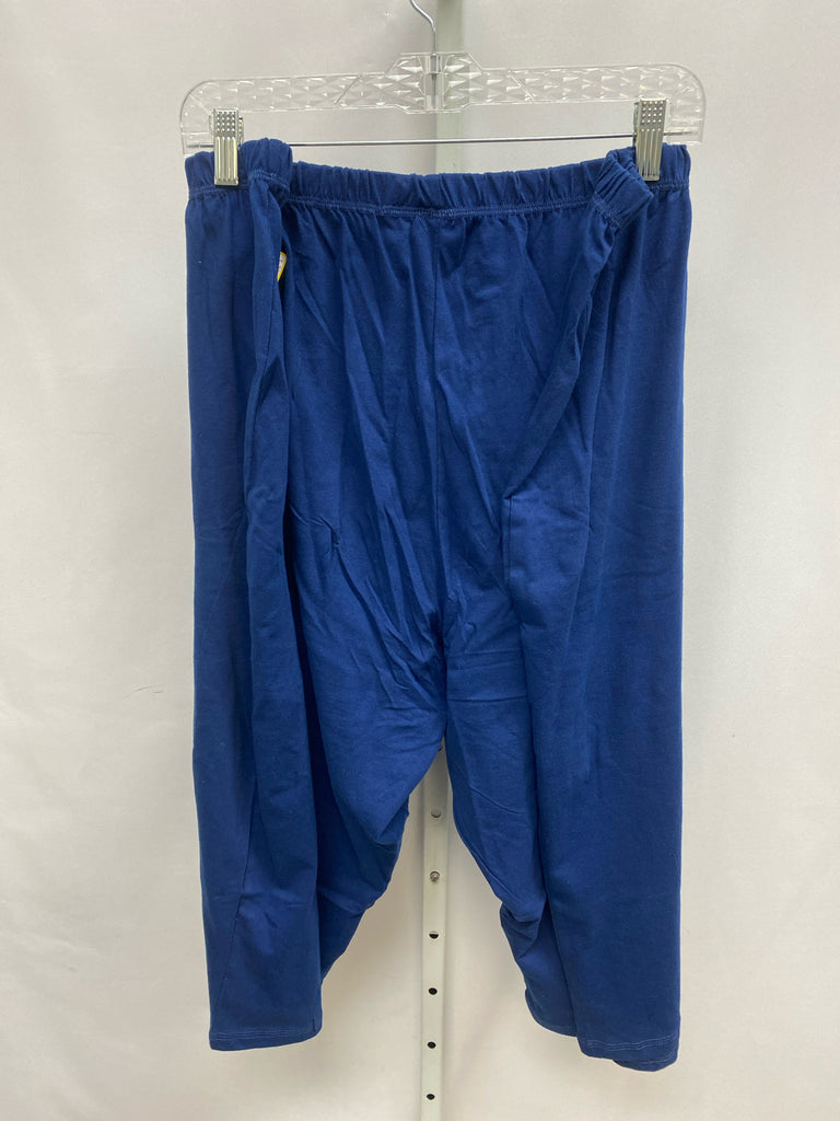 Dreams & Co Size 3X Blue Crop/Capri