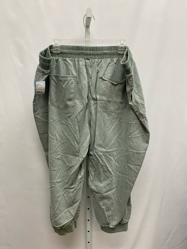 Maurices Size 24 Olive Crop/Capri