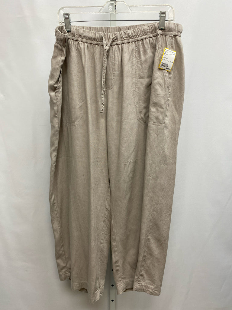 Splendid Size Large Gray Pants