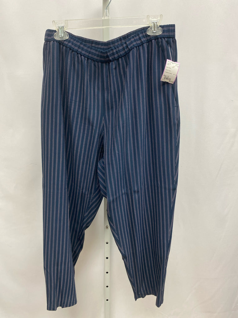 Size 12 Blue Stripe Pants