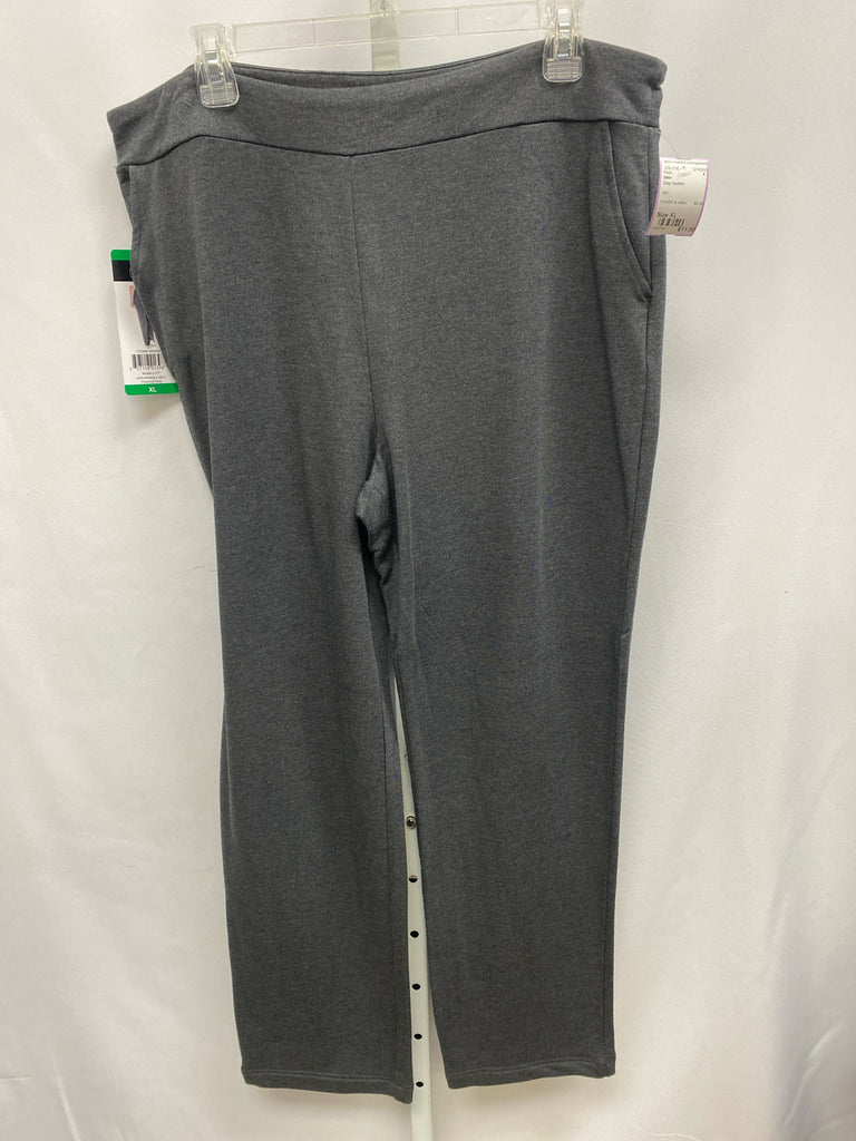 Dalia Size XL Gray Heather Pants