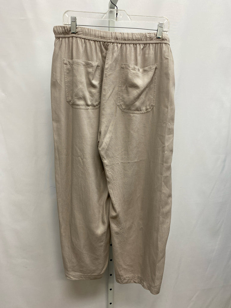 Splendid Size Large Gray Pants