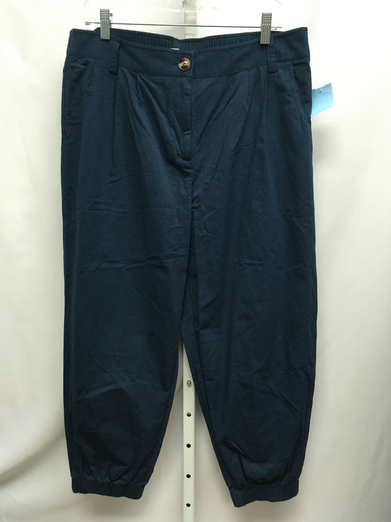Size XL Blue Pants