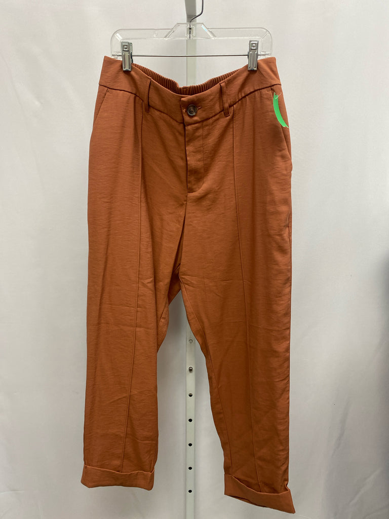 a new day Size 8 Rust Pants