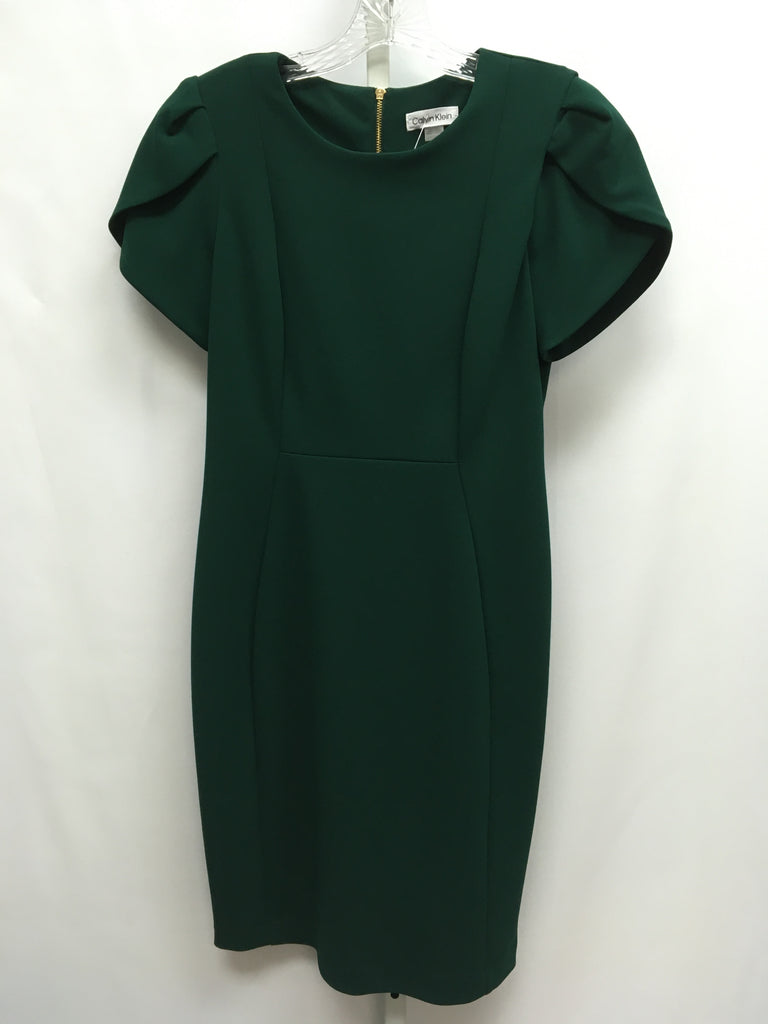 Calvin Klein Size 10P Green Short Sleeve Dress – Best Friends Consignment