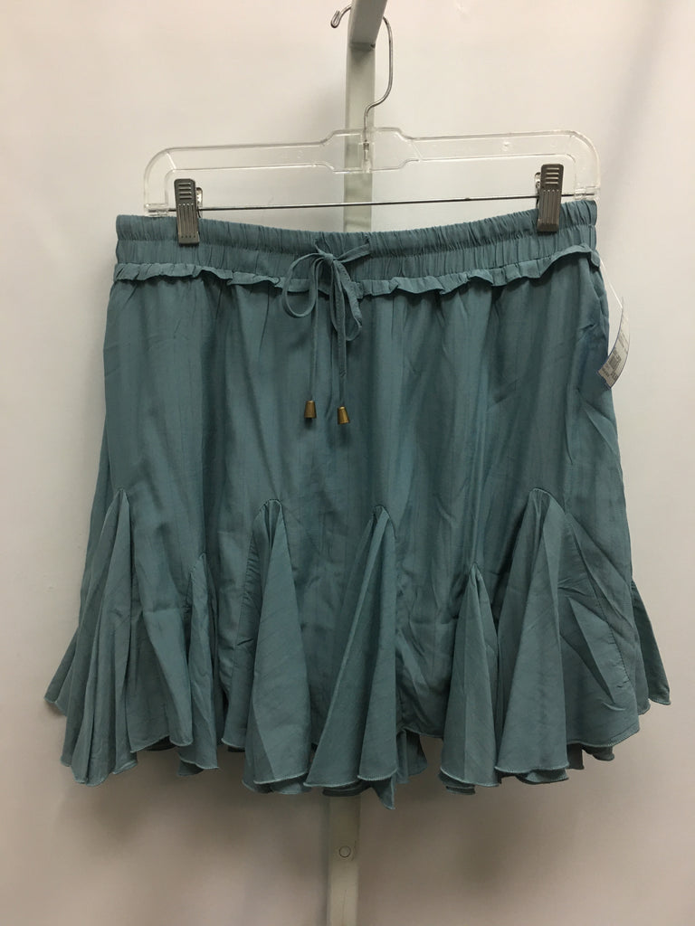 entro Size Large Blue Skirt