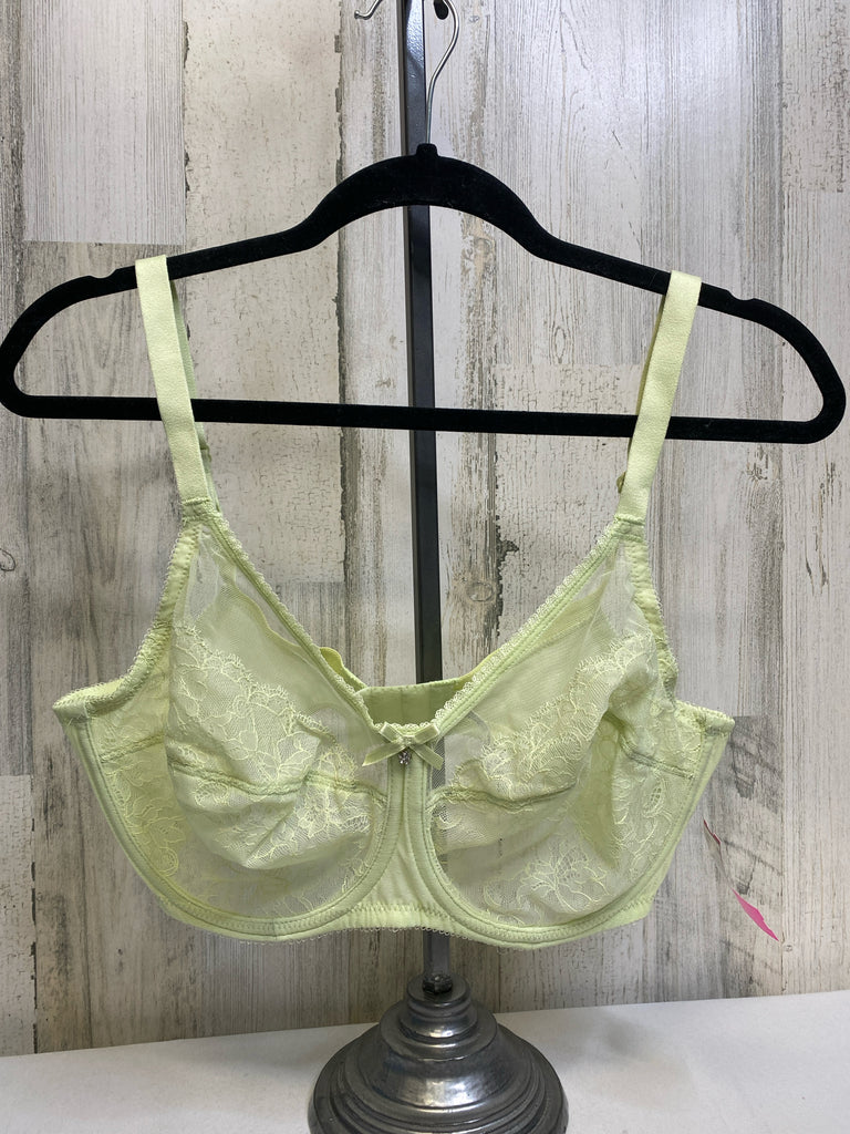 Size 38dd Sage Bra