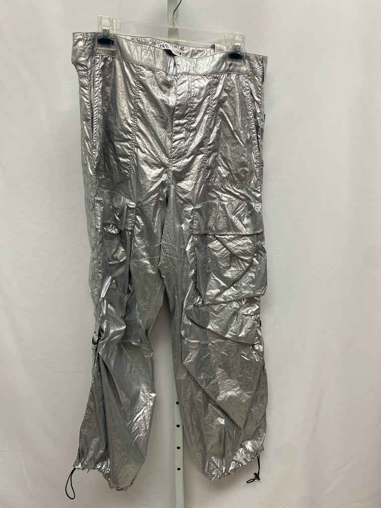 Zara Size Large Silver Pants
