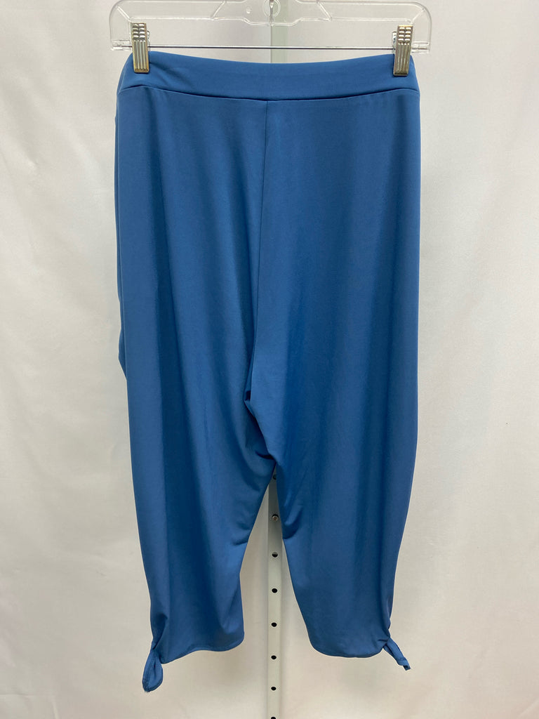 Susan Graver Size 1X Blue Crop/Capri