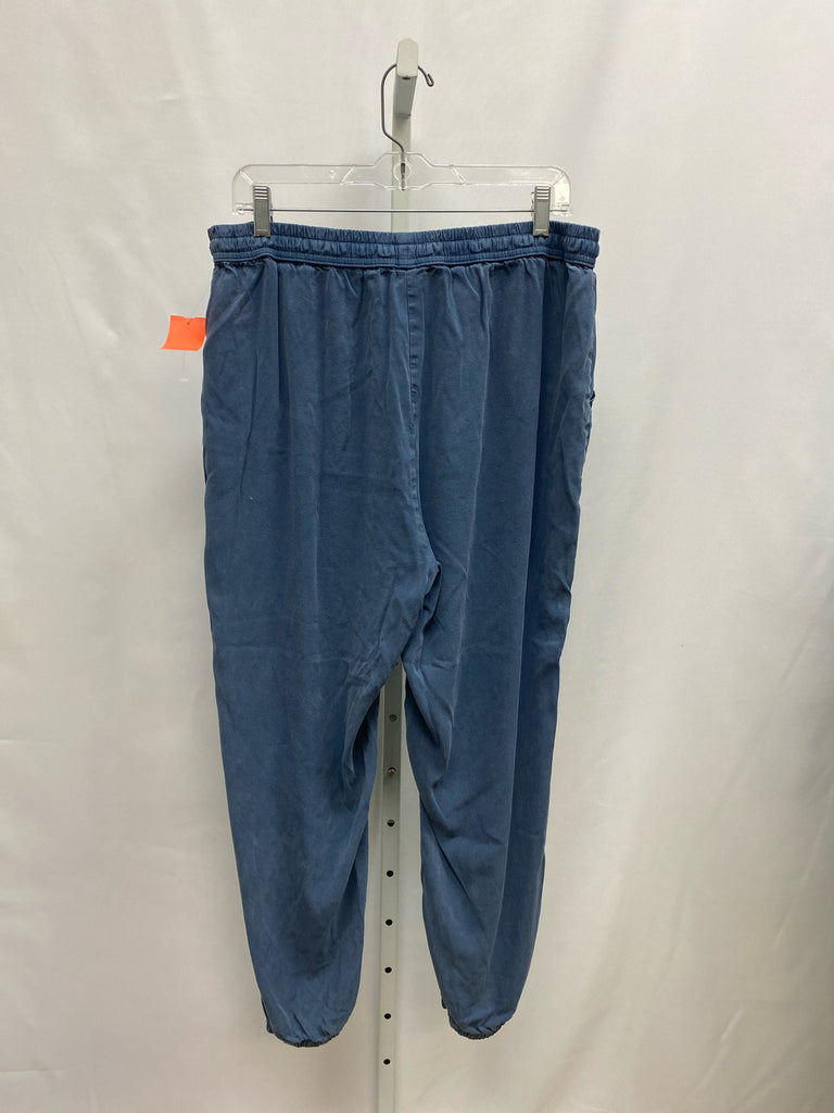 Pink Size Large Blue Pants