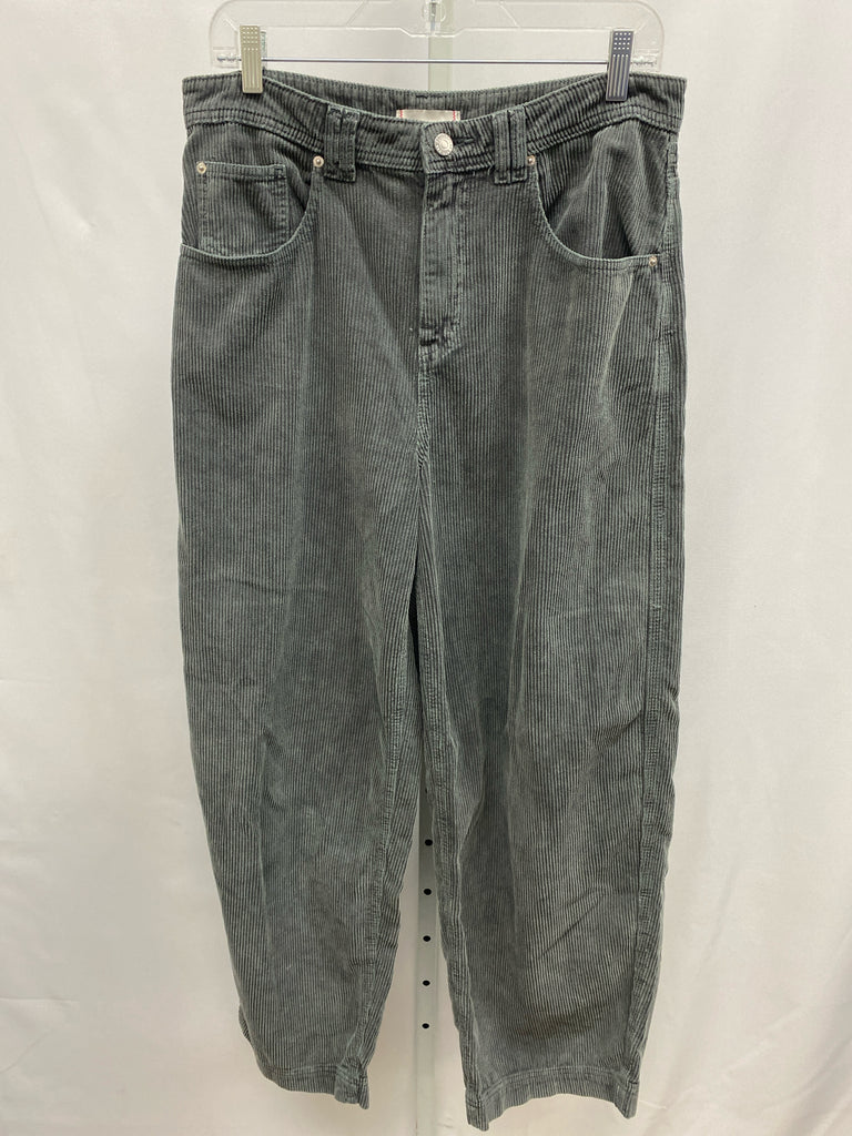 BDG Size 8 Gray Pants