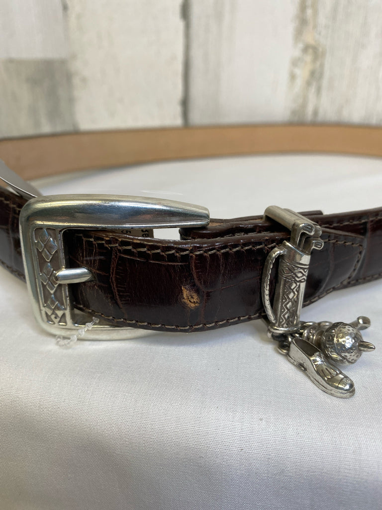 Brighton Brown Belt