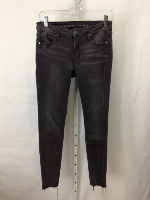 Articles of Society Size 27 (4) Gray Denim Pants