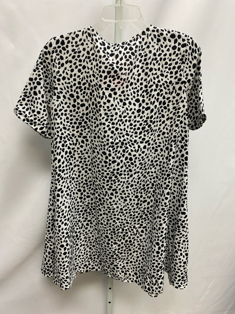 Size 2 White/Black Short Sleeve Dress