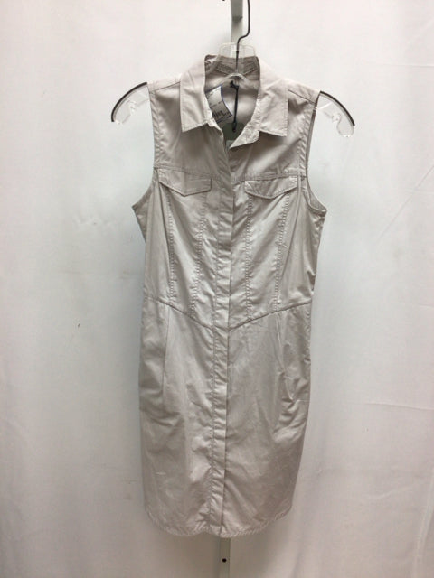 Size 6 AllSaints Gray Sleeveless Dress