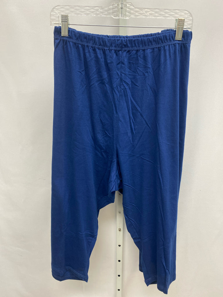 Dreams & Co Size 3X Blue Crop/Capri