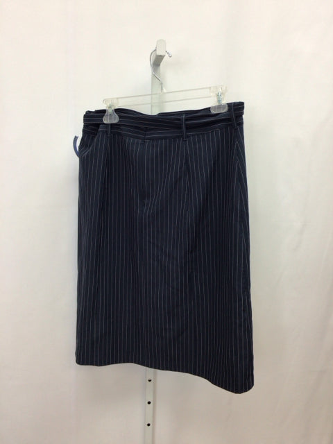 Size 12 Banana Republic Navy Stripe Skirt