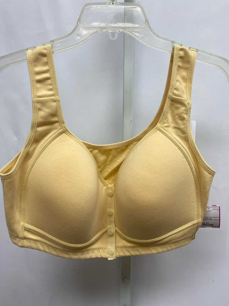 Size 3X Sherbert Bra