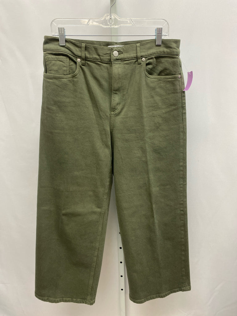 LOFT Size 29 (8) Olive Jeans