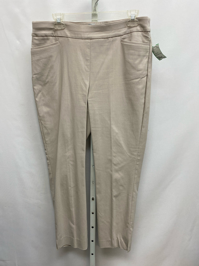 Chico's Size 10 Gray Pants