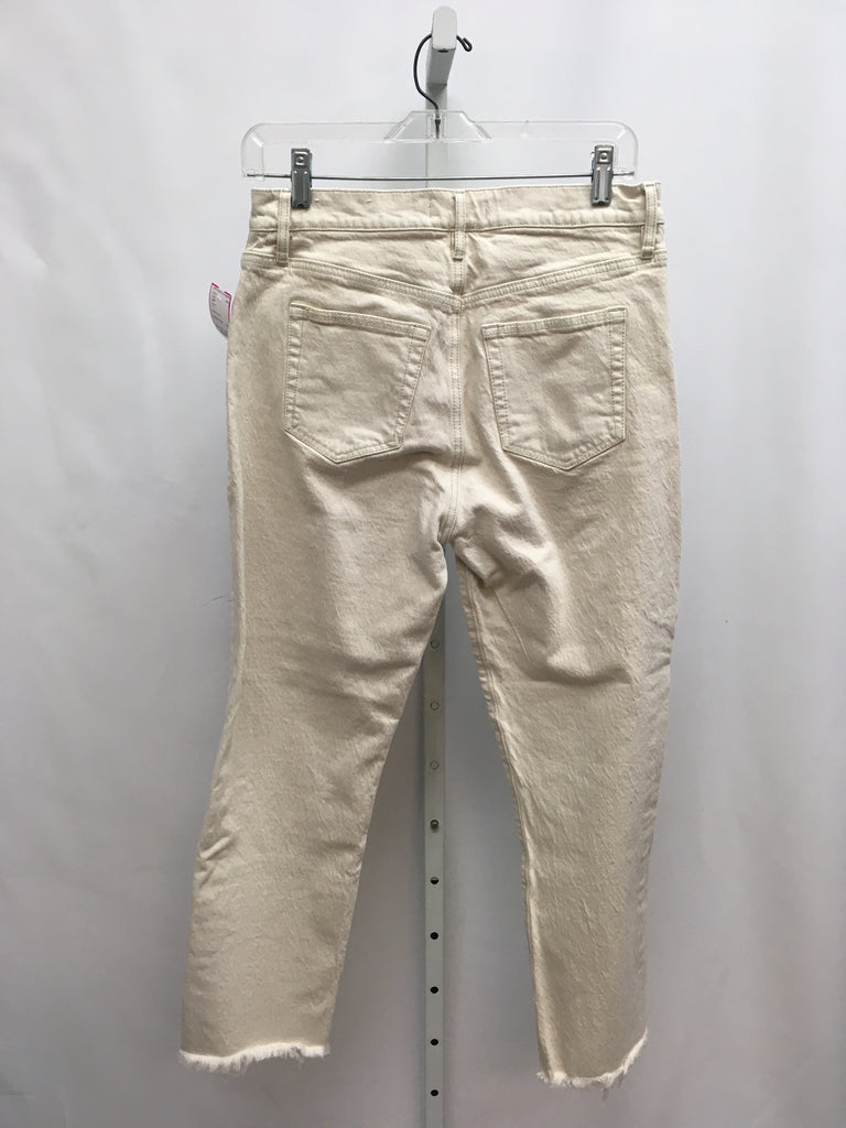 LOFT Size 27 (4) Denim Jeans